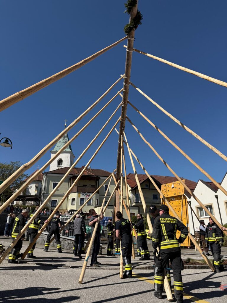 Maibaum in Behamberg